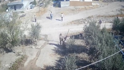 Şanlıurfa'da kafası taşla ezilmek istenen baygın kocasını taş atarak kurtardı