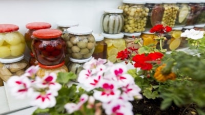 Bu otlar turşuya lezzet katıyor: 1-2 sap ekleyin...