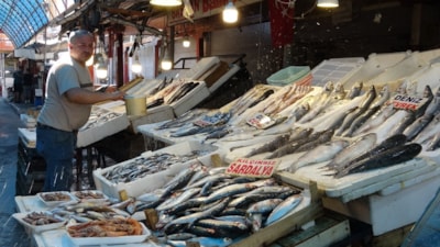 Akdeniz'de av yasağı kalktı, tezgahlar bollaştı