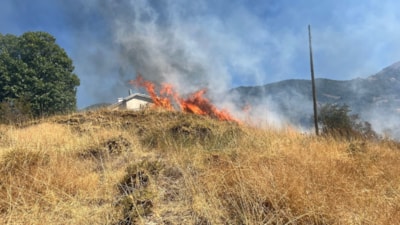 Tunceli'de kırsal alanda yangın çıktı