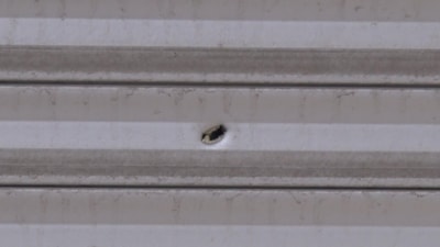 İstanbul'da haraç vermeyi reddeden eczaneyi kurşunladılar