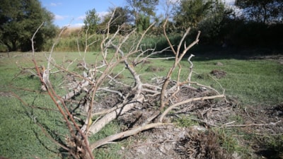 Edirne'deki Musabeyli Göleti tamamen kurudu