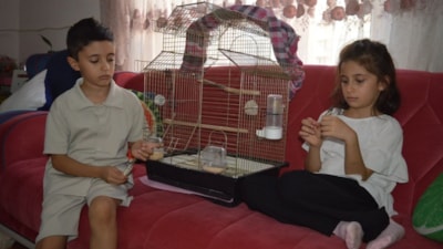 Siirt'te iki kardeş kaçan kuşları için günlerdir nöbet tutuyor