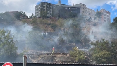 İstanbul'da korkutan yangın: Ağaçlık alan kısa sürede alevlere teslim oldu