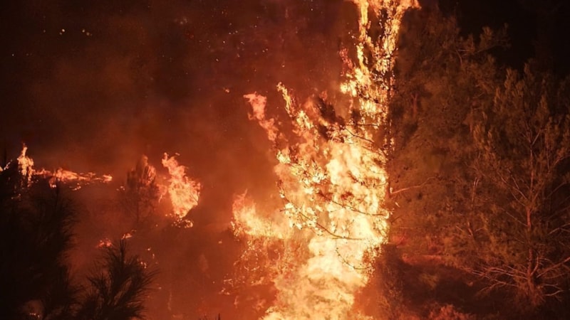 Mersin'de düğün sırasında çalılık alanda yangın çıktı