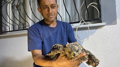 Osmaniye'de bulduğu şahine ciğer dürüm sipariş etti