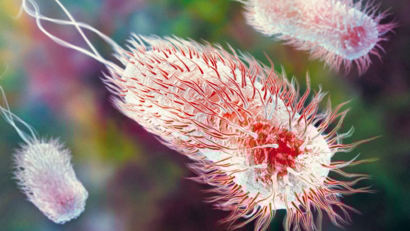 ABD'de yapay zeka yardımıyla bazı bakterileri yok edebilen virüsler üretildi