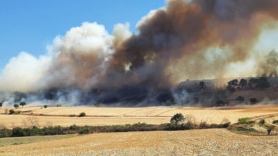 Çanakkale'de orman yangını