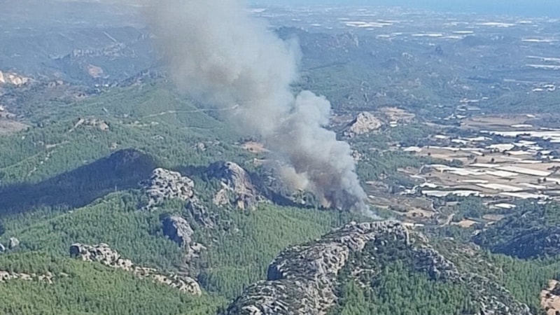 Antalya'da orman yangını