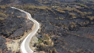 Muğla Köyceğiz'deki orman yangını sonrası acı tablo görüntülendi
