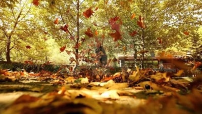 23 Eylül Sonbahar Ekinoksu 2025: Gece ve Gündüz Eşitliği Ne Zaman, Ne Anlama Geliyor?