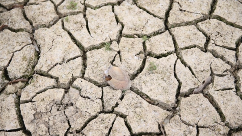 İç Anadolu ve Güneydoğu'da 65, Ege ve Marmara'da son 18 yılın en düşük 'su yılı yağışları'