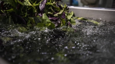 Sağlığınızı riske atmayın: Sebze ve meyvelerdeki pestisit kalıntılarıyla vedalaşın