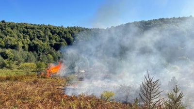 Bilecik'te korkutan yangın: Arazide başlayıp ormanlık alana sıçradı