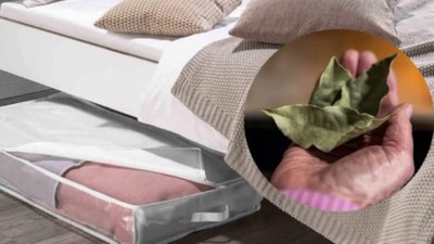 Sadece 1 defne yaprağı yetiyor! Yatağın altına koyunca bakın ne işe yarıyor