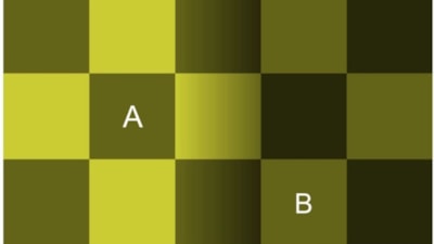Dünyaca ünlü illüzyon! Hangi kare daha koyu: A mı, B mi?