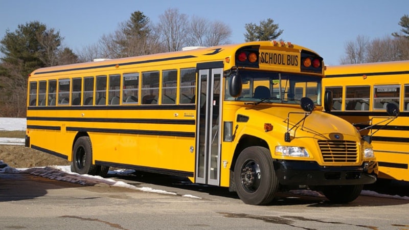 ABD’deki okul otobüslerinin sarı renkte olmasının sebebi buymuş