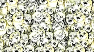 Baykuşların arasındaki kediyi 5 saniyede görenler üstün zekalı sayılıyor! Süre başladı...