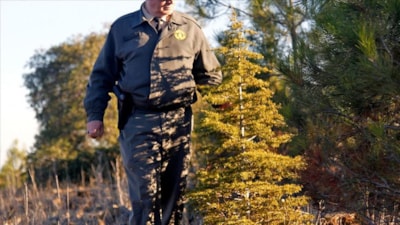 Orman Genel Müdürlüğü 262 daimi işçi alacak