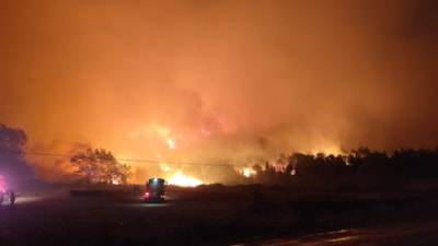 Bursa'da orman yangını paniği