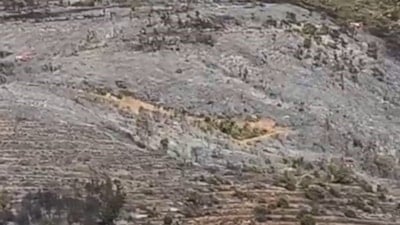 Bursa'daki orman yangını söndürüldü