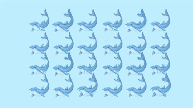 İllüzyon sanatı: Kaç tane yunus balığı saydınız? Eğer doğruysa...