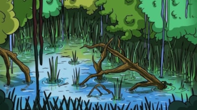 İllüzyon: Sherlock gibi olun, gizlenen timsahı bulun...