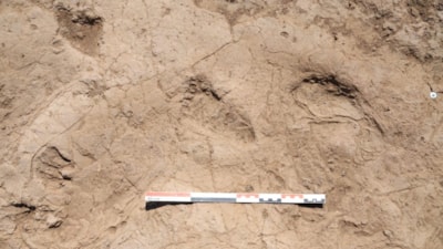 Hatay'da 7 bin yıl öncesine ait insan ayak izleri bulundu