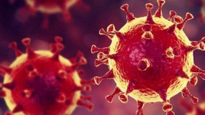 Bu belirtilere dikkat: Frankenstein varyantı olabilir