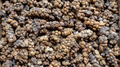 Hayvan dışkısından, yumurtalı tüketime: Dünyanın en ilginç kahveleri