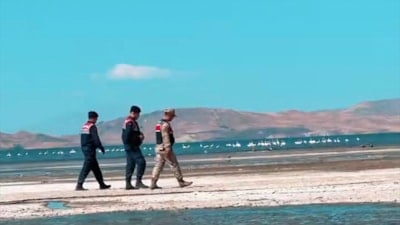 Van'da flamingolar jandarmaya emanet