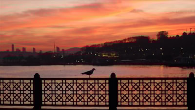 En güzel sabah duaları: Huzur, bereket, enerji ve kazanç için dua