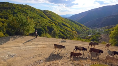 Gümüşhane'de sonbahar yüzünü gösterdi