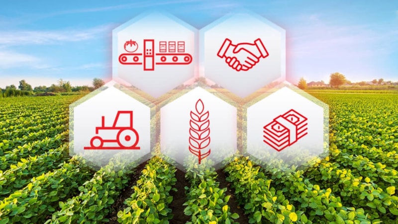 Devlet'ten traktör kredisi 2025: Başvuru şartları açıklandı