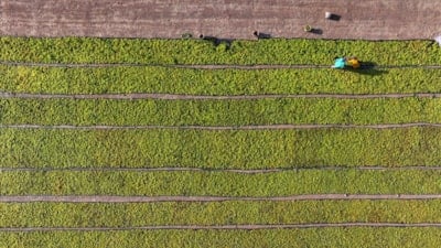 İbrahim Yumaklı: Çiftçilere 349 milyon lira destek ödemesi bugün yapılacak