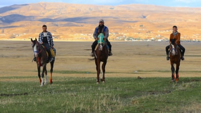 Bingöl'de at yetiştiriciliği kültürel miras olarak yaşatılıyor
