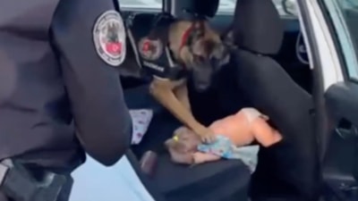 Erzincan'da durdurulan bir aracın içinden uyuşturucu dolu oyuncak bebek çıktı