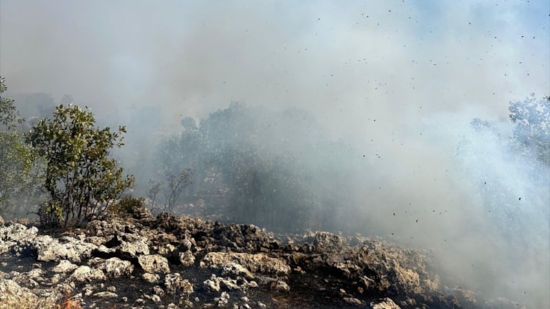 Diyarbakır'da örtü yangını paniği