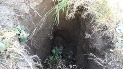 Malatya'da kayısı bahçesinde obruk oluştu