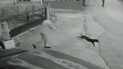Kocaeli'de bir kişi yavru köpeği bahçesine girdi diye yere fırlattı