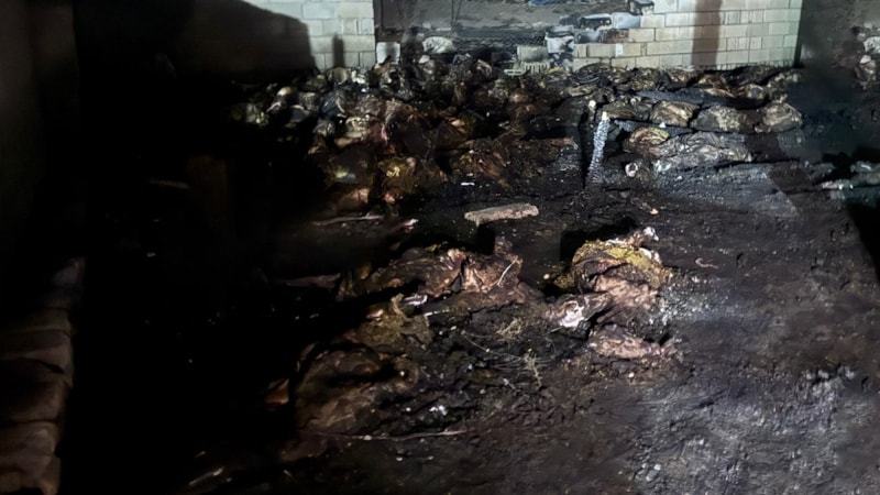 Niğde'de ahır yangını: 170 koyun telef oldu