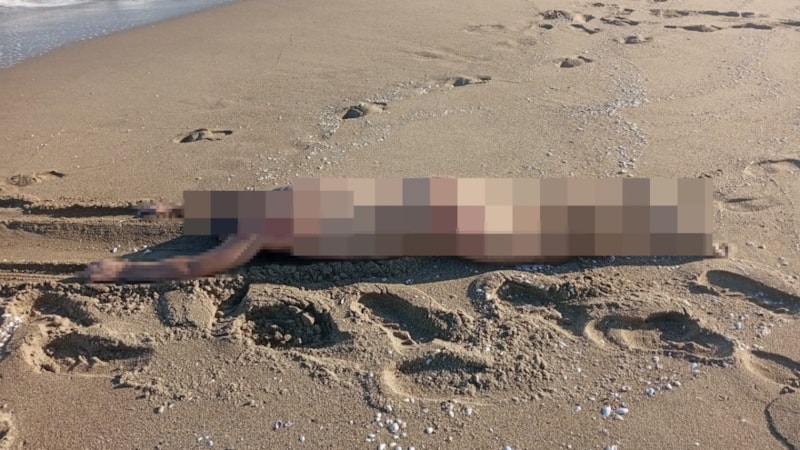 Sakarya'da korkunç görüntü: Sahilde çıplak erkek cesedi bulundu