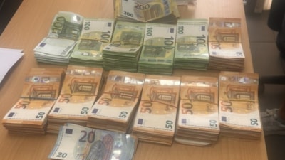 Edirne'de sınır kapısında 101 bin 800 euro ele geçirildi