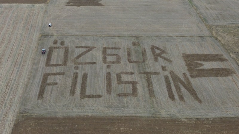 Çanakkaleli çiftçiden Filistin'e destek: Tarlasına traktörle 'Özgür Filistin' yazdı