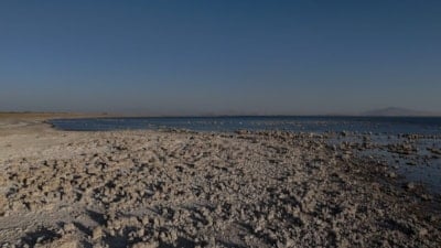 Van Gölü'nde kuraklık alarmı