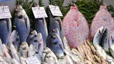 Sağlığa binbir faydaları var: Kasım ayı bitmeden bu balıkları tüketin