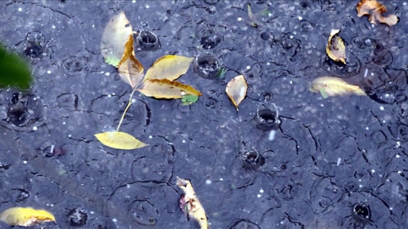 Kentlerde kuraklığa karşı yağmur suyu hasadı önerisi