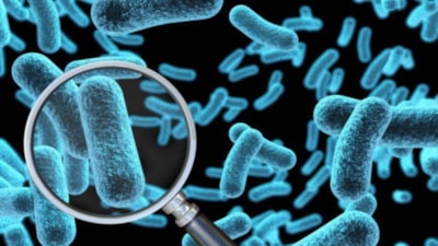 Antibiyotiklerin sonu mu geliyor: Yapay zeka ile bakterileri öldüren virüs geliştirildi