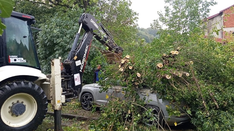Zonguldak'ta park halindeki otomobilin üzerine ağaç devrildi