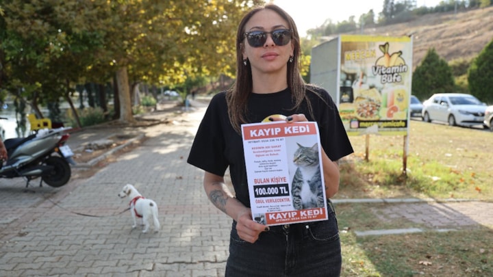 Adana'da kayıp kedisini bulana 100 bin TL verecek